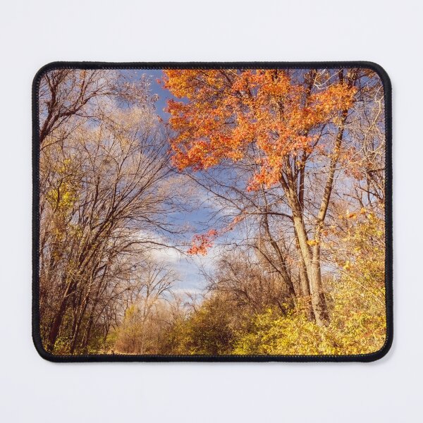 Item preview, Orange crowned tree standing in the forest designed and sold by Joel Bader.