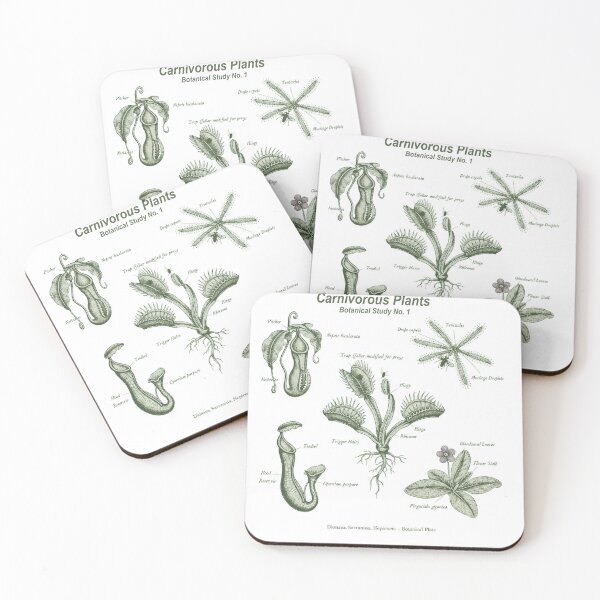 Item preview, Carnivorous plants botanical Study No. 1 designed and sold by EnR-designs.