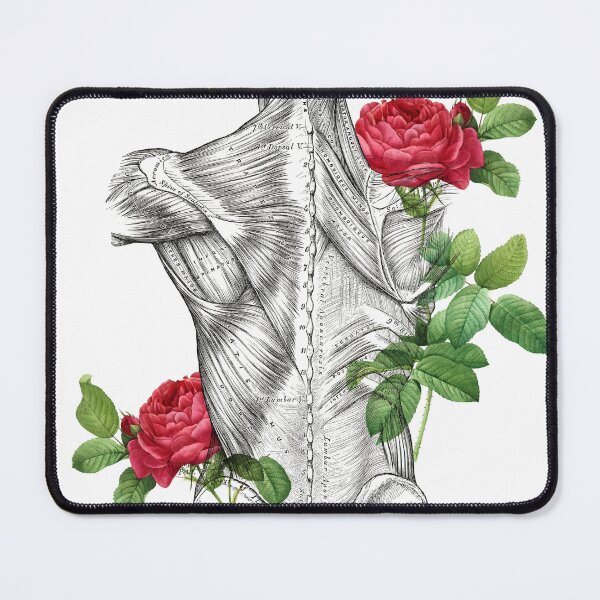Item preview, Back Muscles Rose Anatomy Art designed and sold by Anatomy Art Gallery.