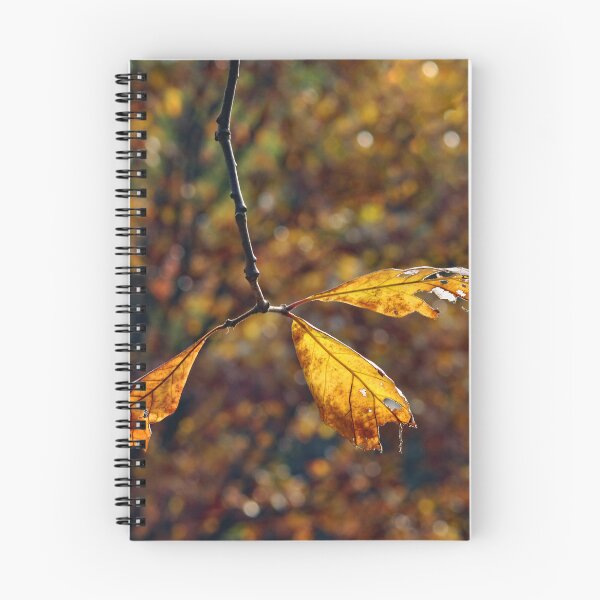 Item preview, Fall Leaf designed and sold by Elisabeth Kasal.