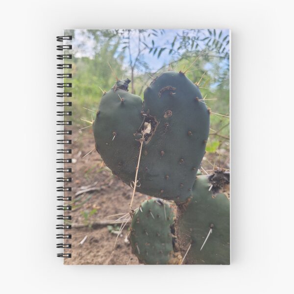 Item preview, Heartcore cactus  designed and sold by xothianspawn.