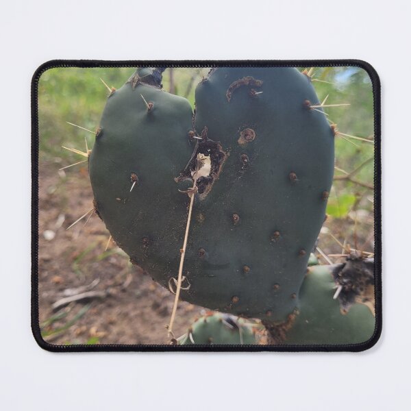 Item preview, Heartcore cactus  designed and sold by xothianspawn.