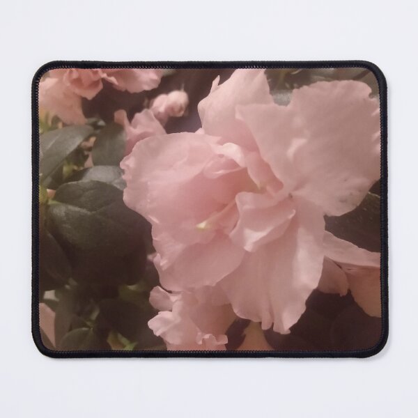 Item preview, Azaleas  designed and sold by xothianspawn.