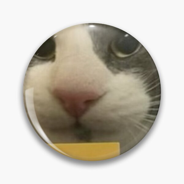 Item preview, my apolocheese cat designed and sold by catmemes4u.