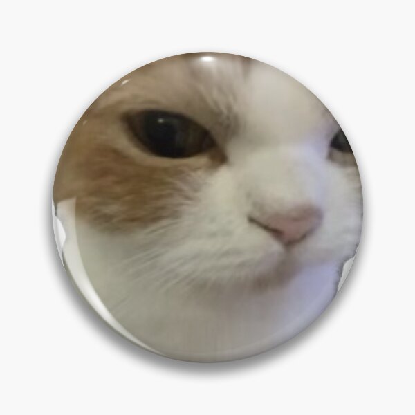 Item preview, glaring angy cat designed and sold by catmemes4u.