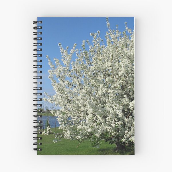 Item preview, Spring designed and sold by Teresa Zieba.