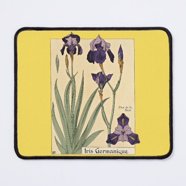 Item preview, Maurice Pillard Verneuil: Iris Germanique designed and sold by Tridentulus.