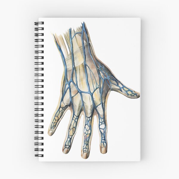 Item preview, Hand Anatomy  designed and sold by Anatomy Art Gallery.