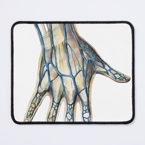 Item preview, Hand Anatomy  designed and sold by Anatomy Art Gallery.