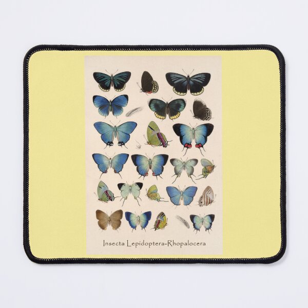 Item preview, Frederick DuCane Godman: Rhopalocera Butterflies designed and sold by Tridentulus.