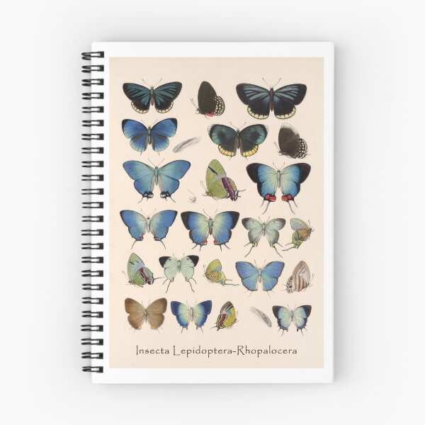 Item preview, Frederick DuCane Godman: Rhopalocera Butterflies designed and sold by Tridentulus.