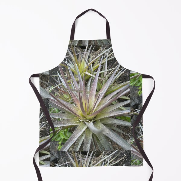 Item preview, Air Plant Starburst Pattern designed and sold by TrisaThyme.