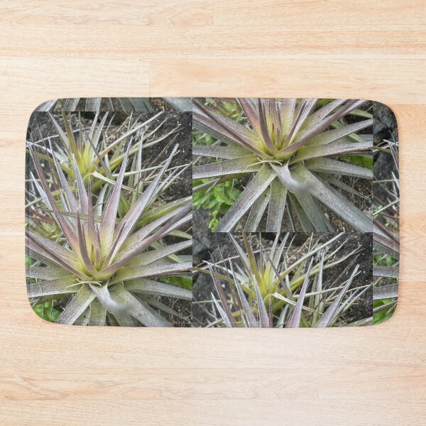 Item preview, Air Plant Starburst Pattern designed and sold by TrisaThyme.