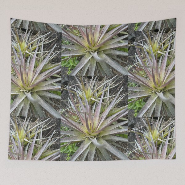 Item preview, Air Plant Starburst Pattern designed and sold by TrisaThyme.