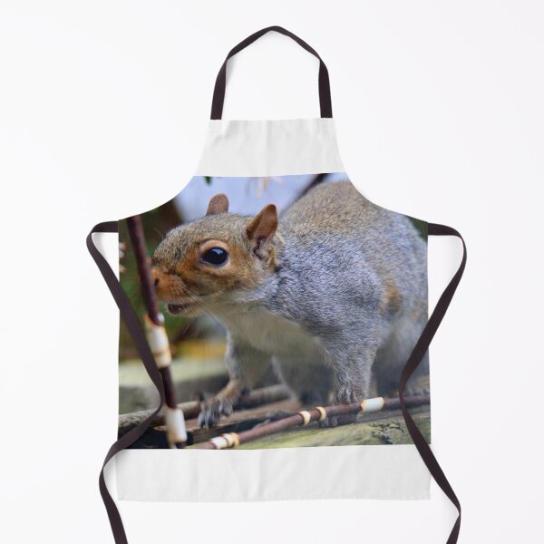 Item preview, Feeding time for the exploring squirrel designed and sold by Ribster13.