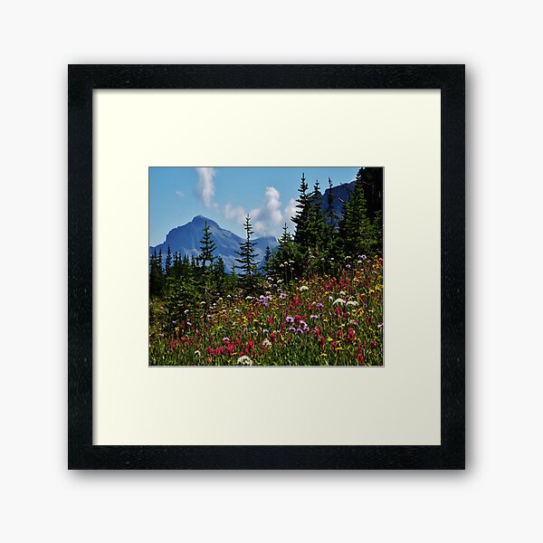 Mountain Wildflowers Framed Art Print