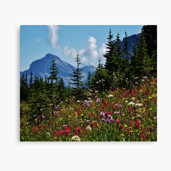 Mountain Wildflowers Canvas Print