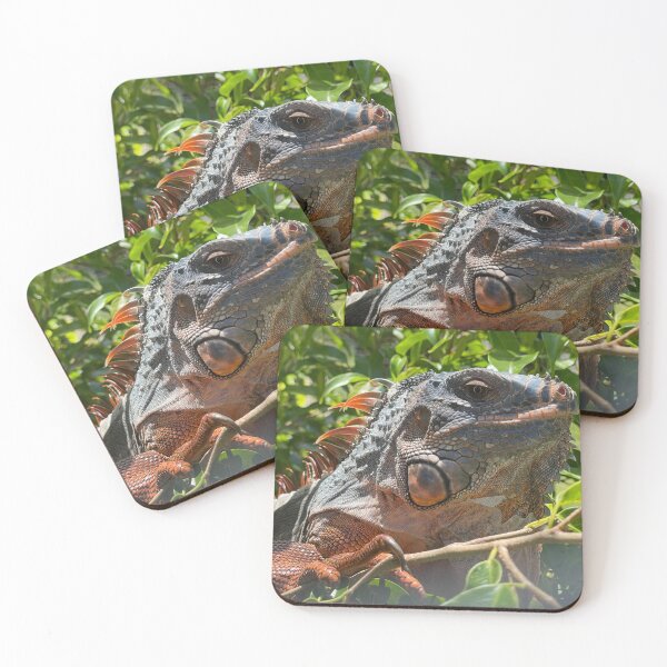 Item preview, Sunlit Iguana Resting in the Trees designed and sold by TrisaThyme.