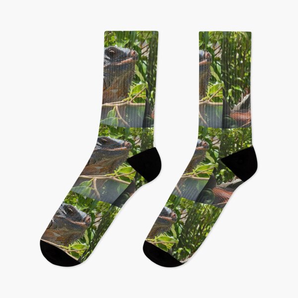 Item preview, Sunlit Iguana Resting in the Trees designed and sold by TrisaThyme.