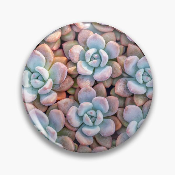 Item preview, Succulents Background designed and sold by assaf.