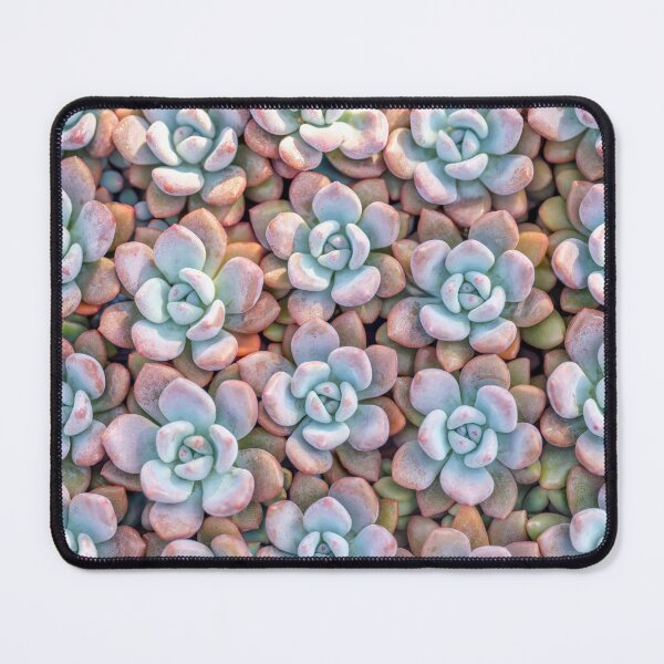 Item preview, Succulents Background designed and sold by assaf.