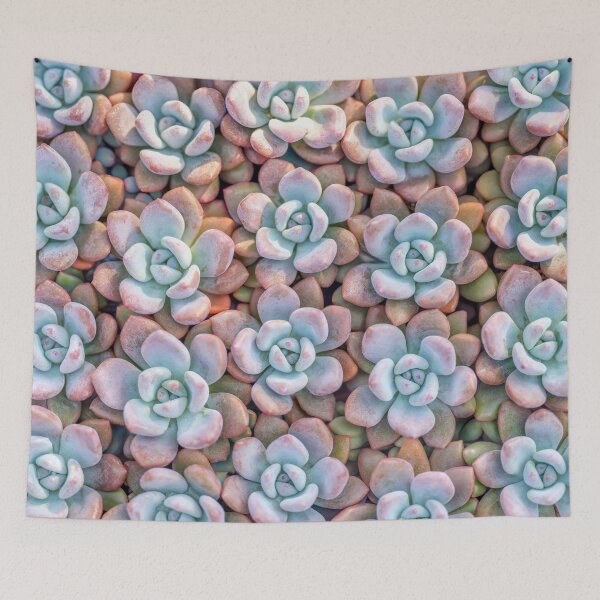 Item preview, Succulents Background designed and sold by assaf.