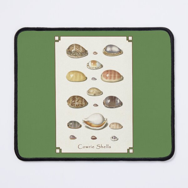 Item preview, Johann Gustav Hoch: Cowrie Shells designed and sold by Tridentulus.
