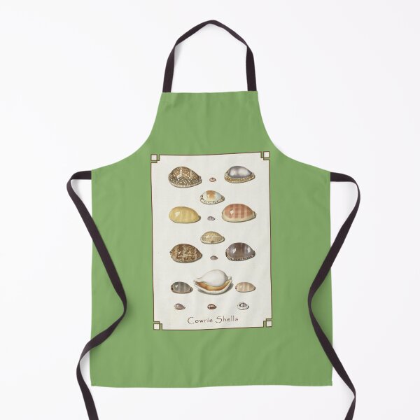 Item preview, Johann Gustav Hoch: Cowrie Shells designed and sold by Tridentulus.