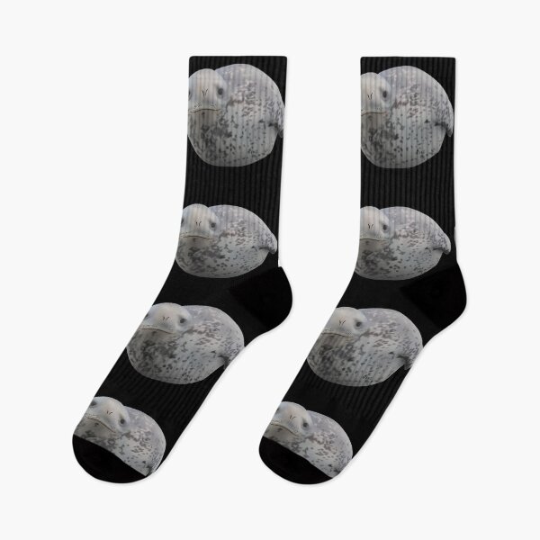 Item preview, Friendly leopard seal designed and sold by GivernyKate.