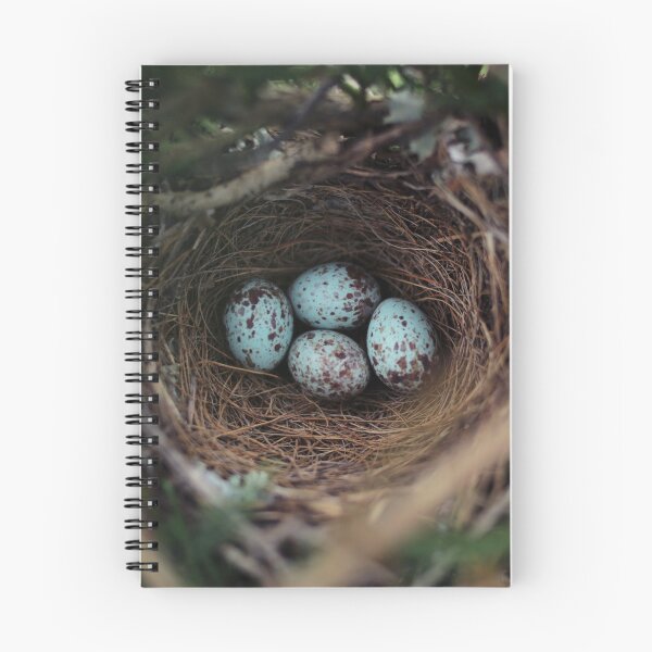 Item preview, Mockingbird Eggs designed and sold by StampCity.