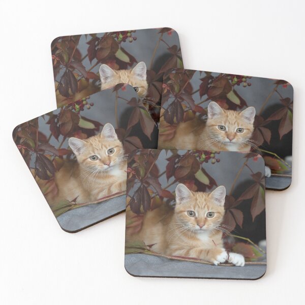 Item preview, Autumn Hideaway – Ginger Kitten in Leaves designed and sold by BlackGoldenCats.