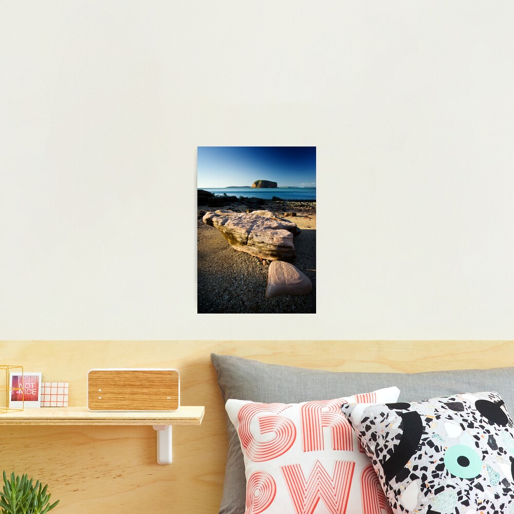 Late Afternoon at Raft Point Photographic Print