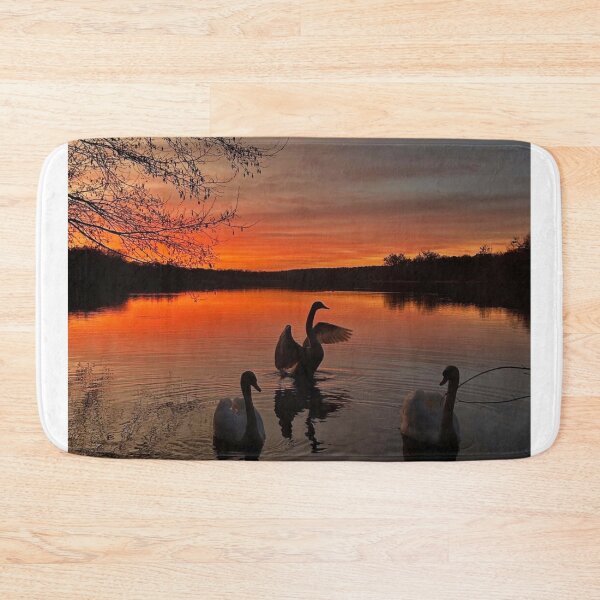 Item preview, Serene Swans She Ra And & the Princesses of Power in Vibrant Sunset  designed and sold by Peachsocute.
