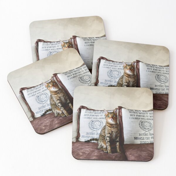 Item preview, Savannah cat like a sphinx – Proud elegance and alert gaze / Swiss Artwork Photography designed and sold by Raphael Wolf.