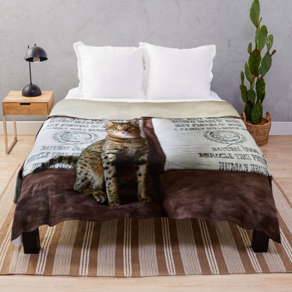 Item preview, Savannah cat like a sphinx – Proud elegance and alert gaze / Swiss Artwork Photography designed and sold by Raphael Wolf.