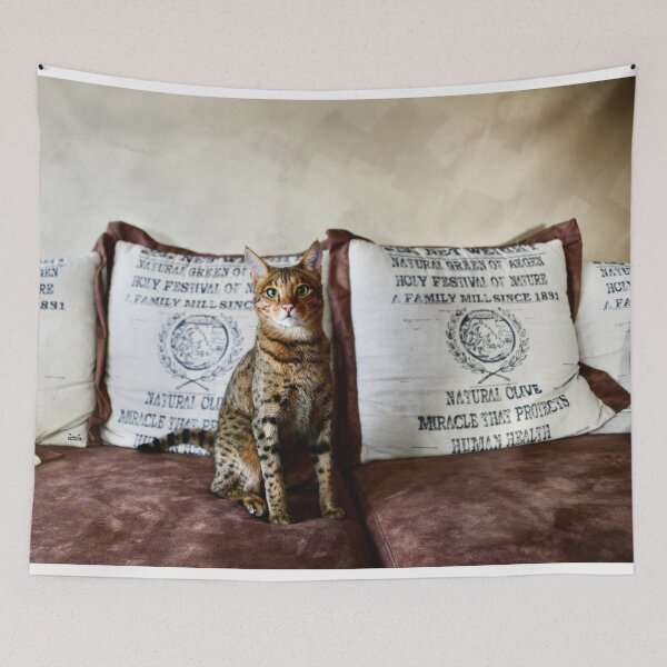 Item preview, Savannah cat like a sphinx – Proud elegance and alert gaze / Swiss Artwork Photography designed and sold by Raphael Wolf.