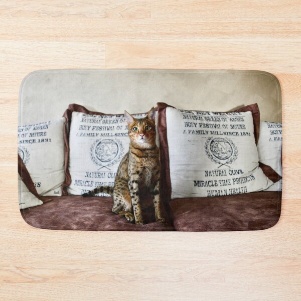 Item preview, Savannah cat like a sphinx – Proud elegance and alert gaze / Swiss Artwork Photography designed and sold by Raphael Wolf.