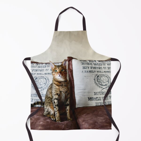 Item preview, Savannah cat like a sphinx – Proud elegance and alert gaze / Swiss Artwork Photography designed and sold by Raphael Wolf.