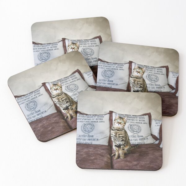 Item preview, Savannah cat – A bewildered look full of charm / Swiss Artwork Photography designed and sold by Raphael Wolf.