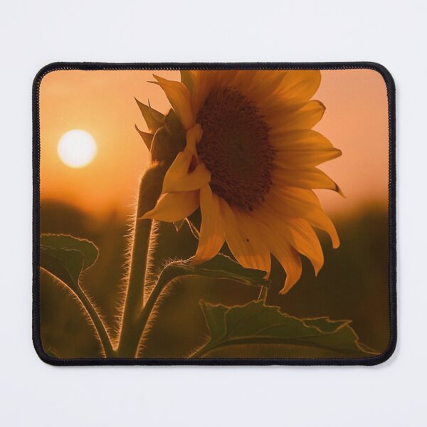 Item preview, Sunset The Devil Makes Three Band bReflection Over Calm Waters designed and sold by Peachsocute.