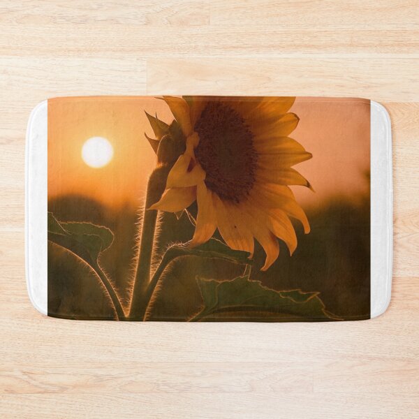 Item preview, Sunset The Devil Makes Three Band bReflection Over Calm Waters designed and sold by Peachsocute.