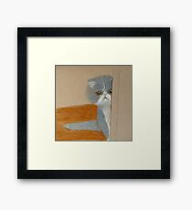 Precious Peeking from Behind a Door Framed Print