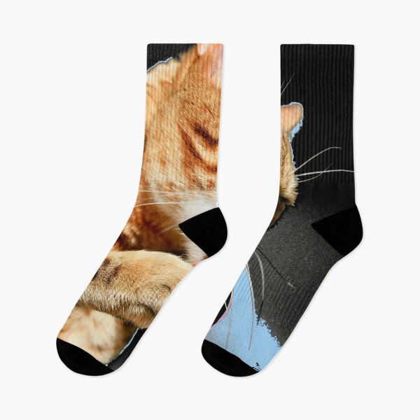 Item preview, Bengal cat licking its paw – elegance and wild grace / Swiss Artwork Photography designed and sold by Raphael Wolf.