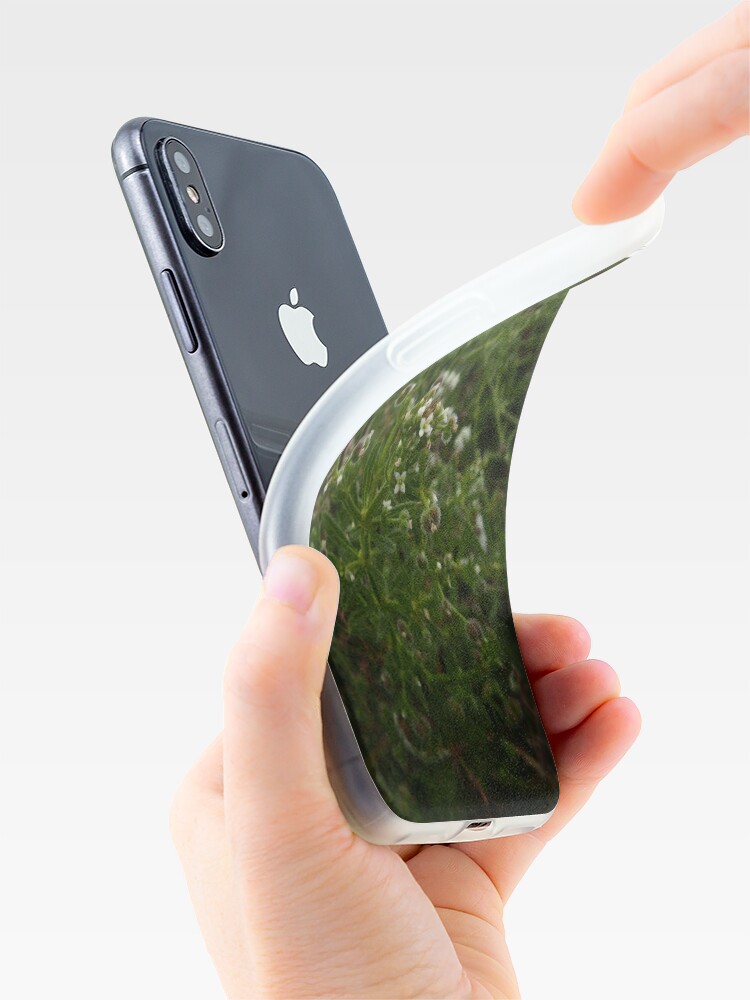 Alternate view of Cleavers (Galium aparine) iPhone Case & Cover