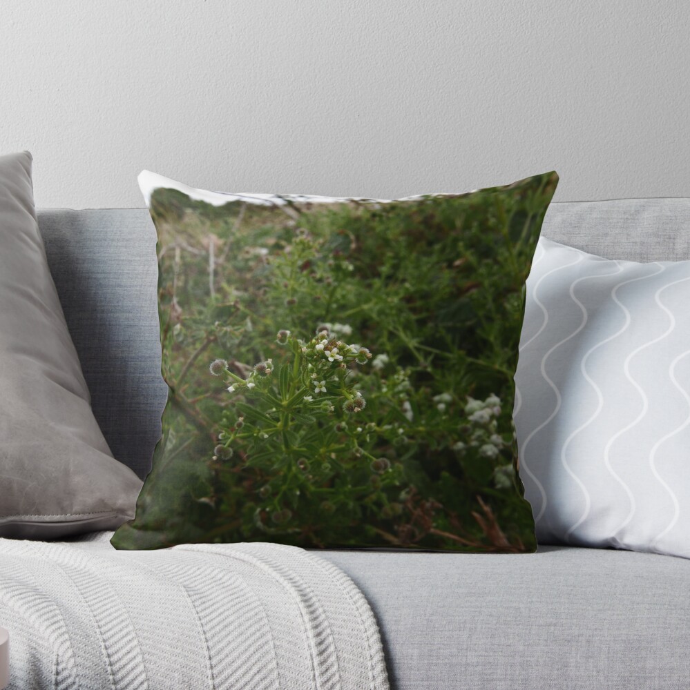 Cleavers (Galium aparine) Throw Pillow