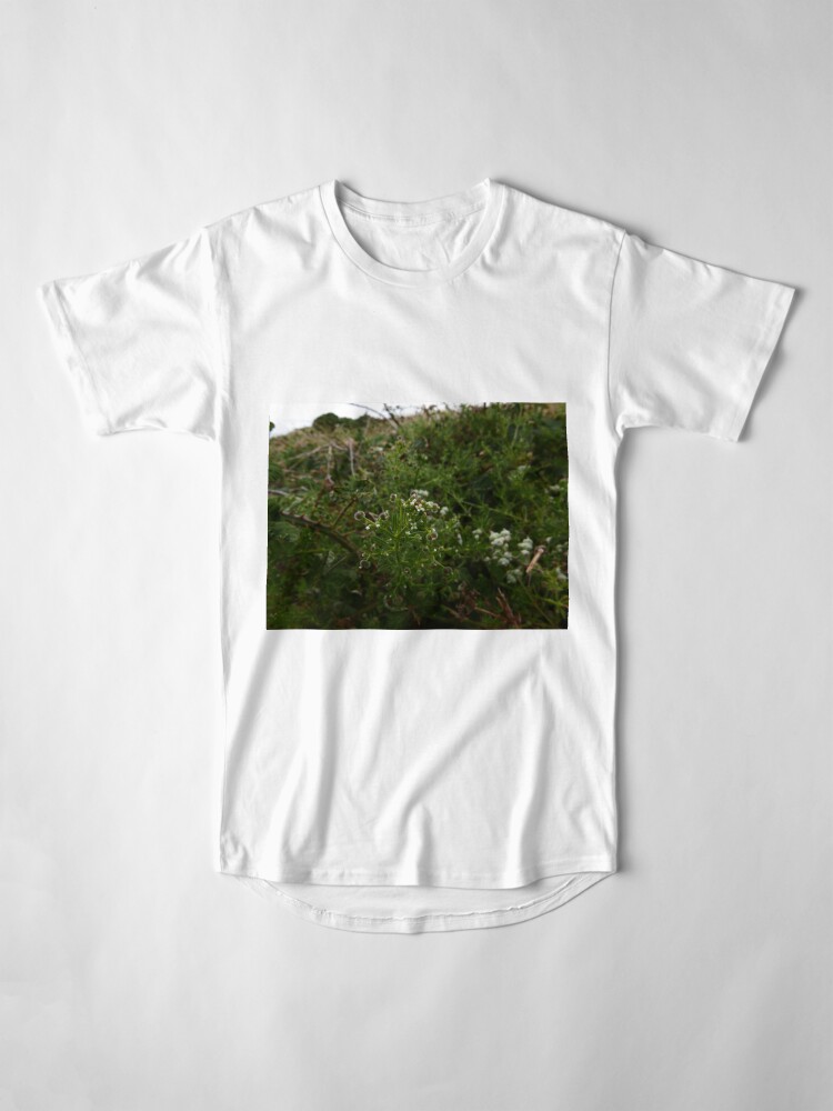 Alternate view of Cleavers (Galium aparine) Long T-Shirt