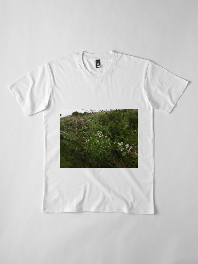 Alternate view of Cleavers (Galium aparine) Premium T-Shirt
