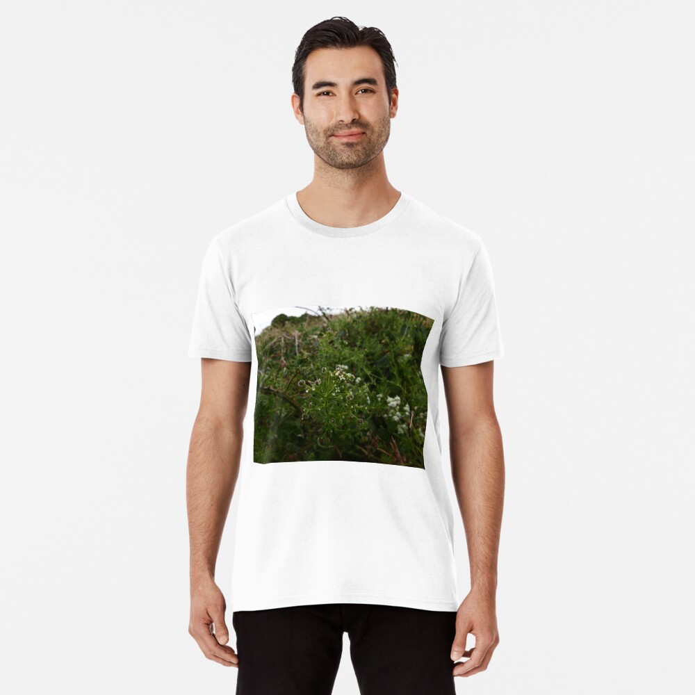 Cleavers (Galium aparine) Premium T-Shirt