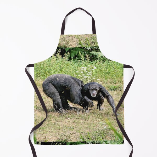 Item preview, vr 3884 / finition 2023 8 - Okaio Créations Olavia-Olao journaliste designed and sold by o.okaïo.