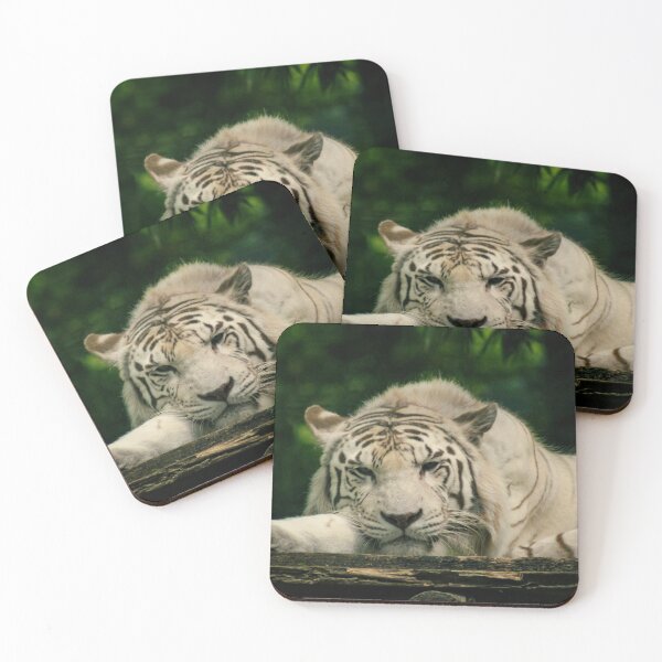 Item preview, Majestic White Tiger at Rest – Wildlife Photography designed and sold by Anyhnto.